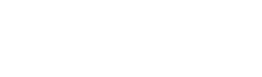 他に類を見ない